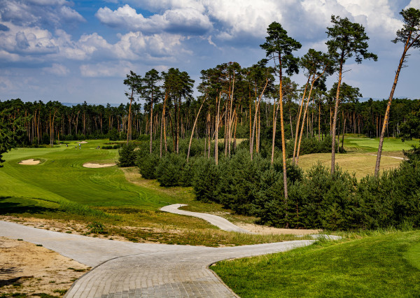 Investment Opportunity – Prime Plot of Land (834 m²)