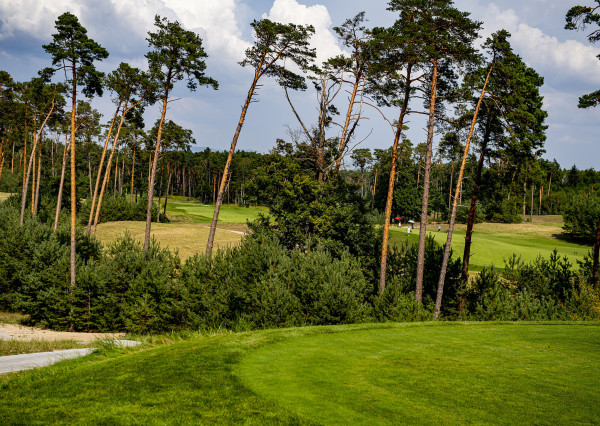 Investment Opportunity – Prime Plot of Land (834 m²)