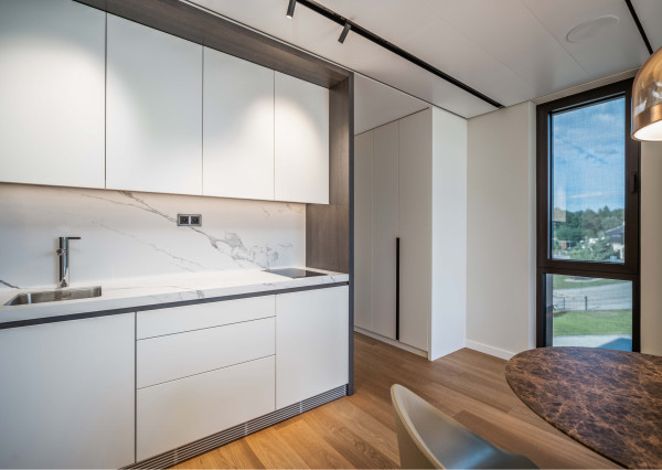 Luxury apartment by the lake with a private beach.